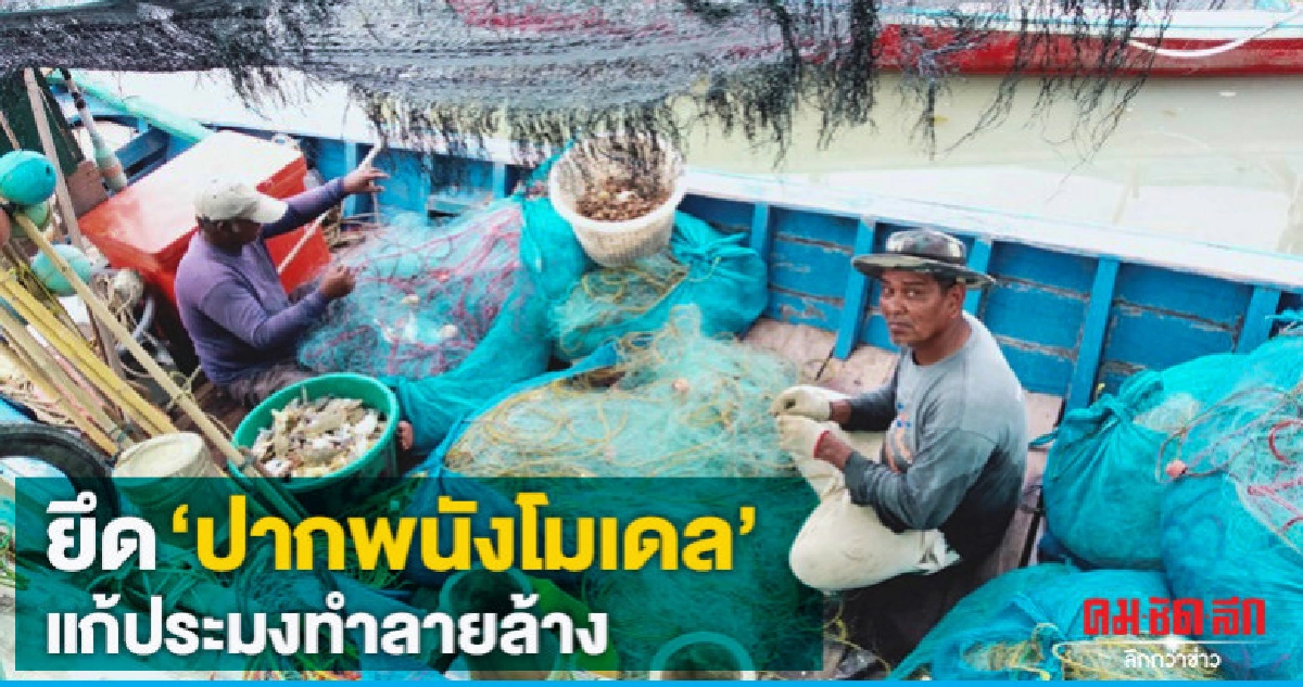 ยึด"ปากพนังโมเดล"แก้ประมงทำลายล้าง ยึด"ปากพนังโมเดล"แก้ประมงทำลายล้าง