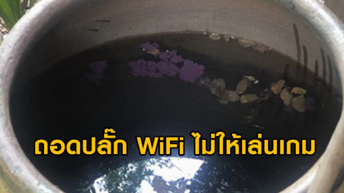 ลูกวางยาฆ่าแมลงหวังปลิดชีพพ่อแม่ เหตุพ่อถอดปลั๊ก WiFi ลูกวางยาฆ่าแมลงหวังปลิดชีพพ่อแม่ เหตุพ่อถอดปลั๊ก WiFi