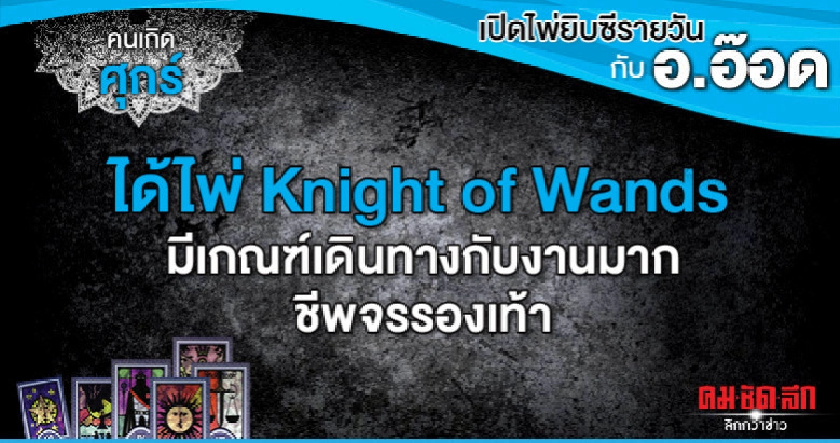 เปิดไพ่ยิปซีรายวัน : วันศุกร์ที่ 21 มิถุนายน 2562 เปิดไพ่ยิปซีรายวัน : วันศุกร์ที่ 21 มิถุนายน 2562