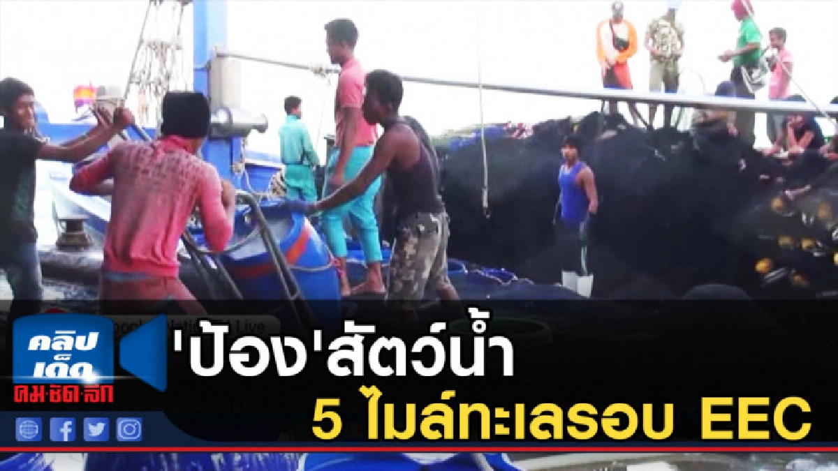 ประมงเสนอมาตรการ'ป้อง'สัตว์น้ำ 5 ไมล์ทะเลรอบ EEC