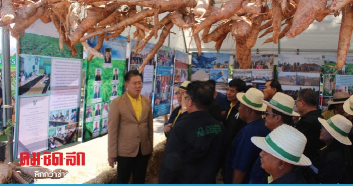 ผู้ว่าฯ โคราชสั่งเร่งสำรวจแปลงมันสำปะหลัง ผู้ว่าฯ โคราชสั่งเร่งสำรวจแปลงมันสำปะหลัง