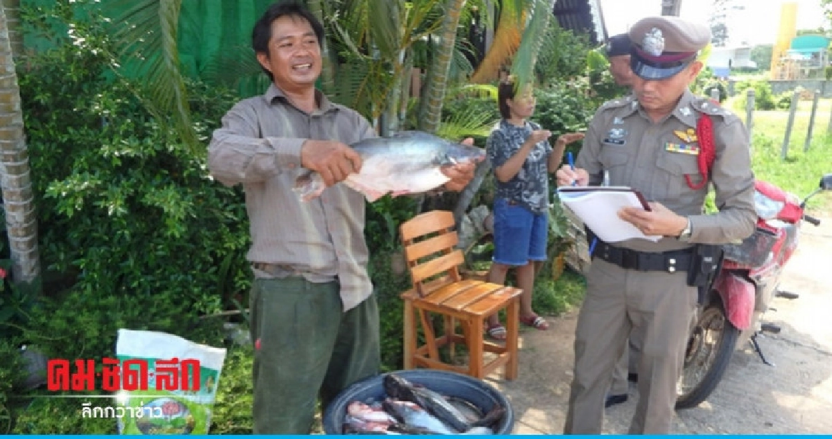 ล่าโจรแขนด้วน เช้าลักไก่ บ่ายขโมยปลา