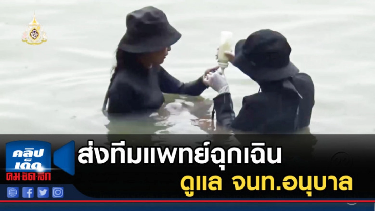 ทร.เตรียมส่งทีมแพทย์ฉุกเฉิน ดูแล จนท.อนุบาล "มาเรียม" ทร.เตรียมส่งทีมแพทย์ฉุกเฉิน ดูแล จนท.อนุบาล "มาเรียม"