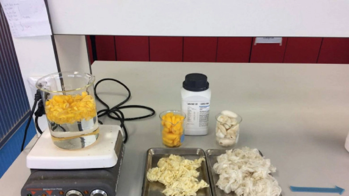  ส่องงานวิจัยและพัฒนากรมหม่อนไหม 