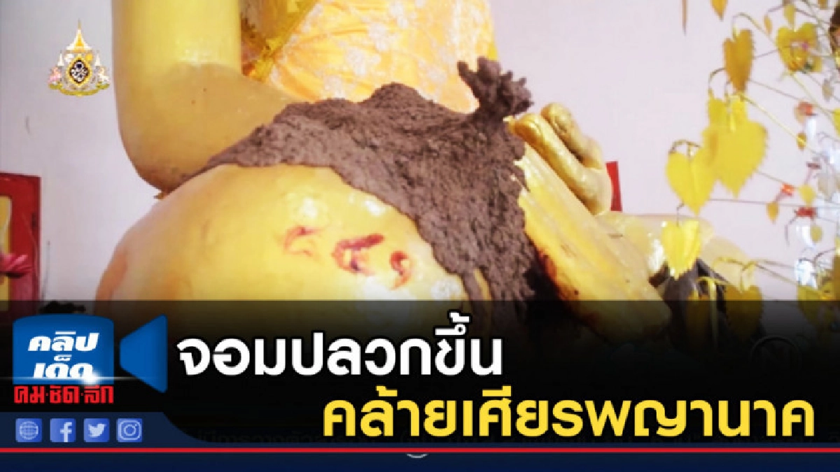ชาวบ้านแตกตื่น จอมปลวกขึ้นตักพระพุทธรูป คล้ายเศียรพญานาค
