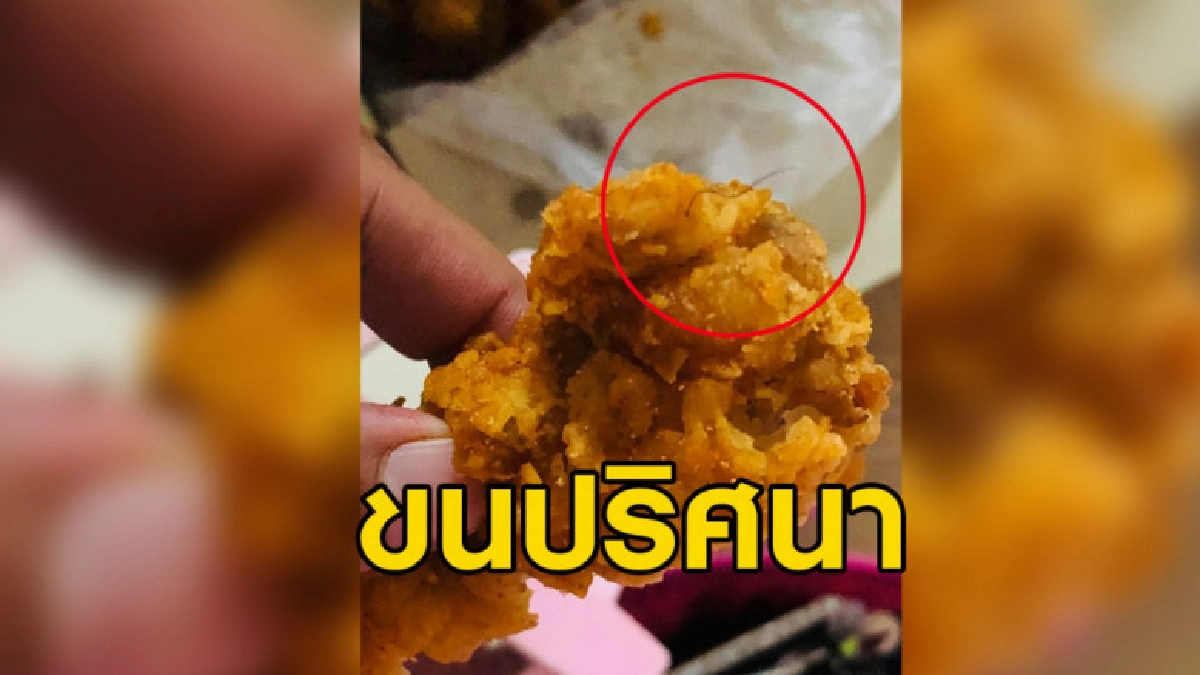 สาวสั่งไก่ทอดร้านดัง ผงะเจอขนปริศนาในเนื้อไก่ ทางร้านชี้แจง สาวสั่งไก่ทอดร้านดัง ผงะเจอขนปริศนาในเนื้อไก่ ทางร้านชี้แจง