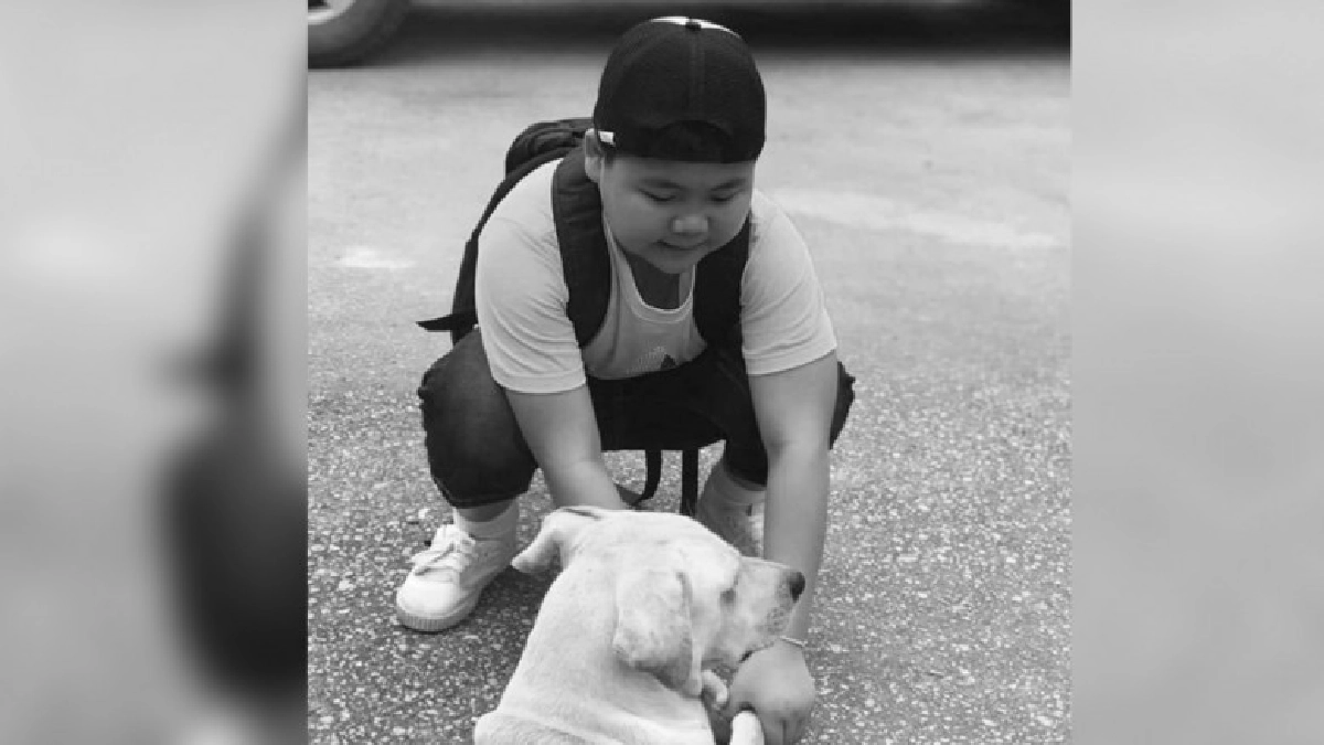 ครอบครัวเศร้า หนูน้อยป่วยไข้เลือดออกชนิดรุนแรงเสียชีวิตแล้ว ครอบครัวเศร้า หนูน้อยป่วยไข้เลือดออกชนิดรุนแรงเสียชีวิตแล้ว