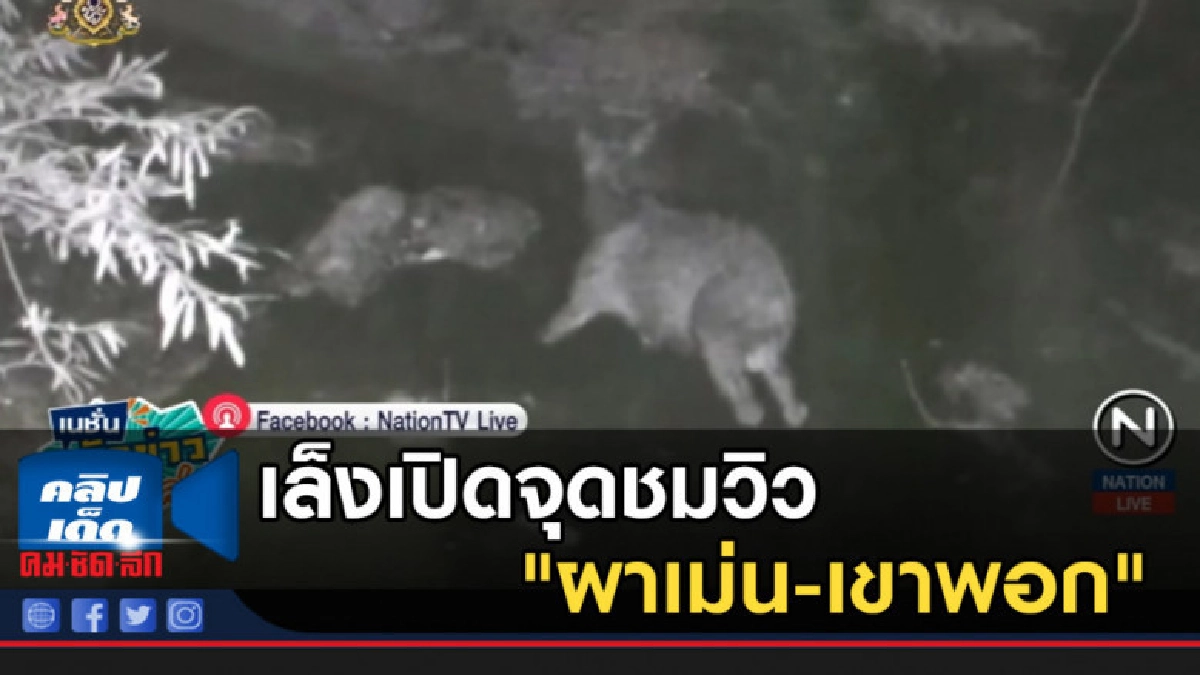 เล็งเปิดจุดชมวิว "ผาเม่น-เขาพอก" เป็นจุดส่องสัตว์ เล็งเปิดจุดชมวิว "ผาเม่น-เขาพอก" เป็นจุดส่องสัตว์