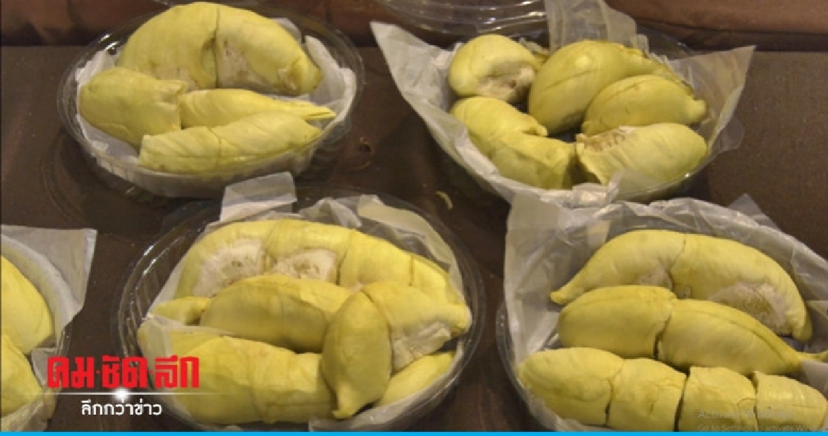 "ทุเรียนภูเขาไฟ" สร้างรายได้เข้าจังหวัดกว่า 30 ล้าน