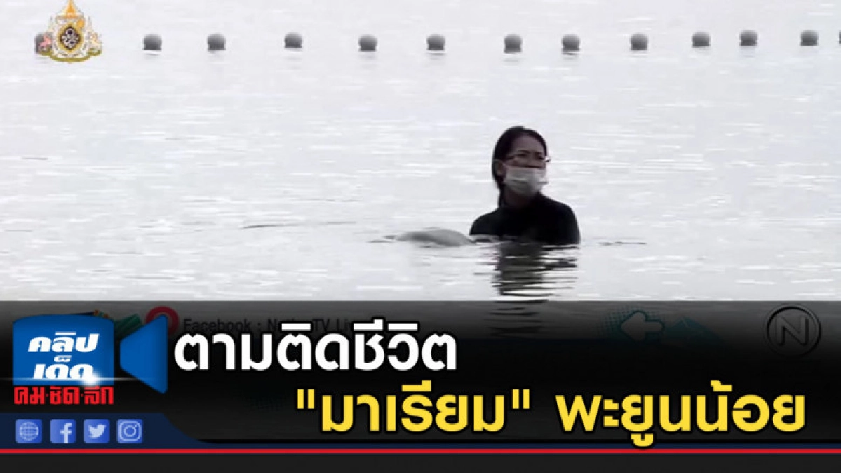 เตรียมถ่ายทอดสด ติดตามชีวิต "มาเรียม" พะยูนน้อย เตรียมถ่ายทอดสด ติดตามชีวิต "มาเรียม" พะยูนน้อย