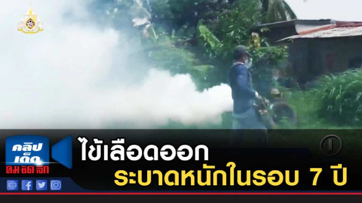 เตือนภัย ไข้เลือดออกที่บึงกาฬ ระบาดหนักสุดในรอบ 7 ปี เตือนภัย ไข้เลือดออกที่บึงกาฬ ระบาดหนักสุดในรอบ 7 ปี