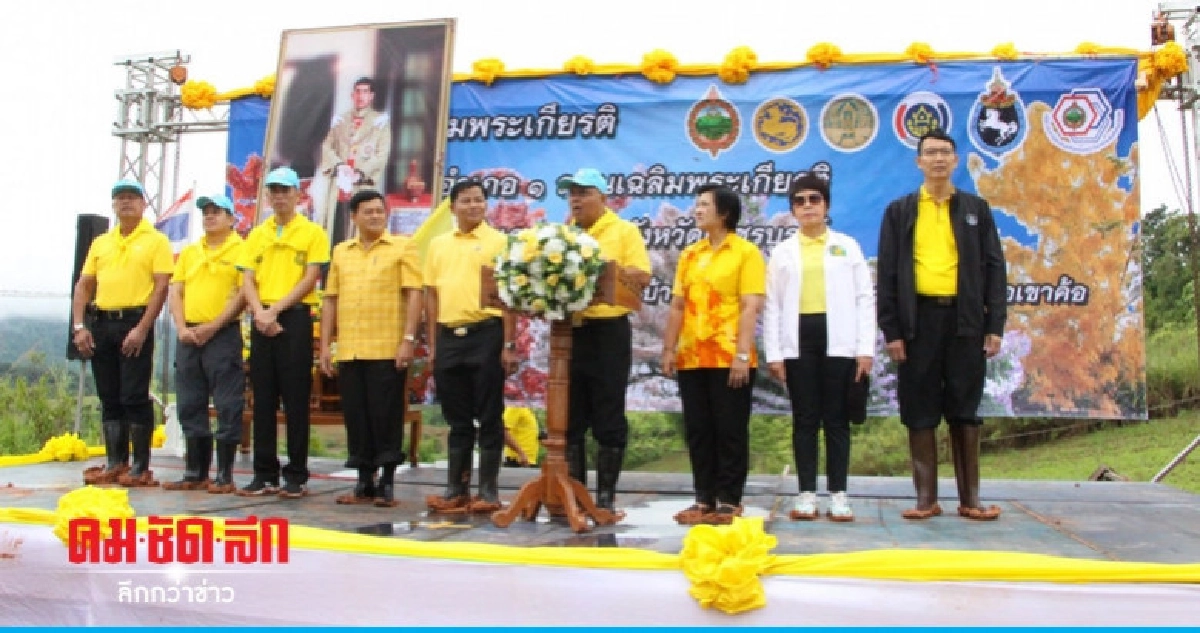 ปลูกต้นไม้ตามโครงการ 1 อำเภอ 1 ถนนเฉลิมพระเกียรติ ปลูกต้นไม้ตามโครงการ 1 อำเภอ 1 ถนนเฉลิมพระเกียรติ