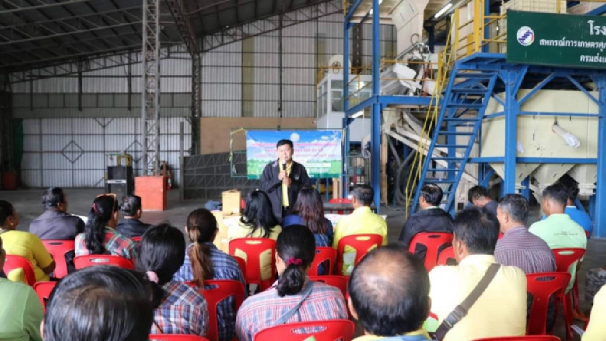 รองอธิบดีกรมส่งเสริมฯลงพื้นที่ตรวจเยี่ยมสหกรณ์แปรรูปข้าว