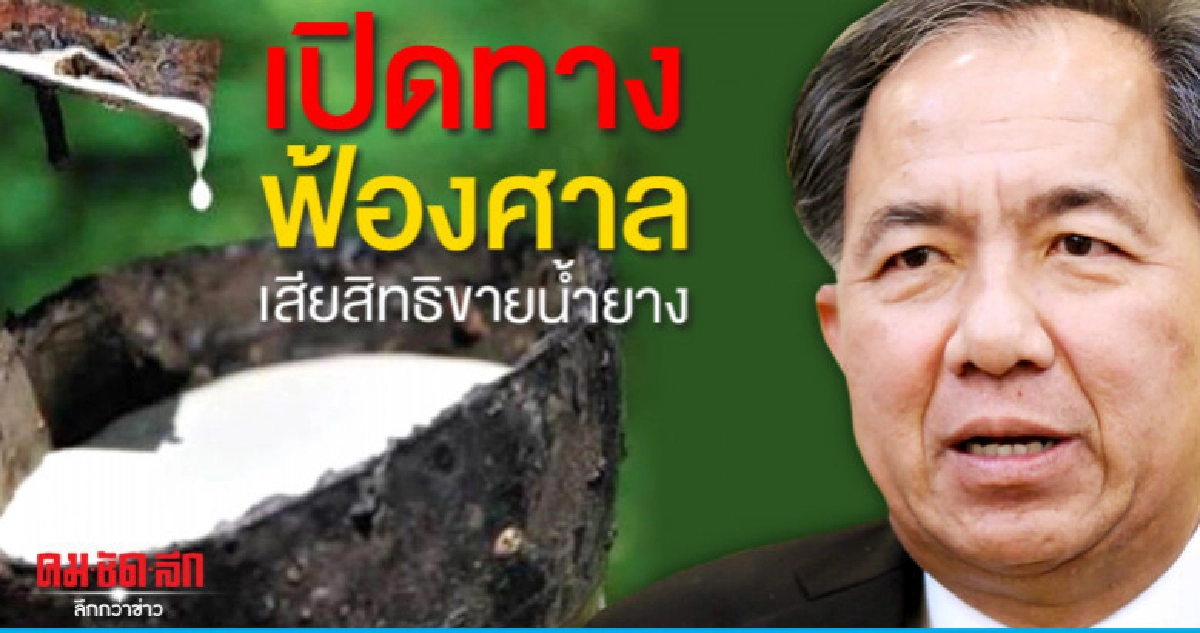 กฤษฏาเปิดทางเอกชนฟ้องศาลเสียสิทธิขายน้ำยาง   