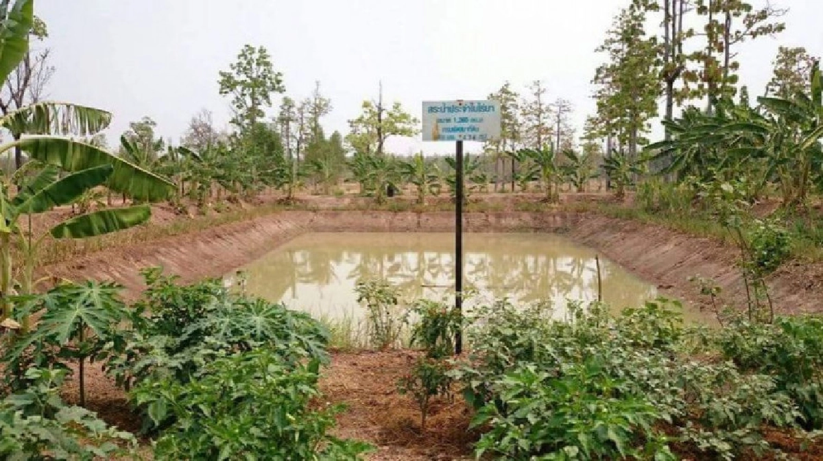กรมหมอดินเตือนเกษตรกร ระวังดินชะล้างพังทลายจากพายุมูน กรมหมอดินเตือนเกษตรกร ระวังดินชะล้างพังทลายจากพายุมูน