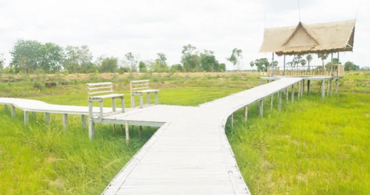 นทท.แห่ชมสะพานไม้ไผ่บ้านเตยปรับโฉมใหม่สุดฟิน