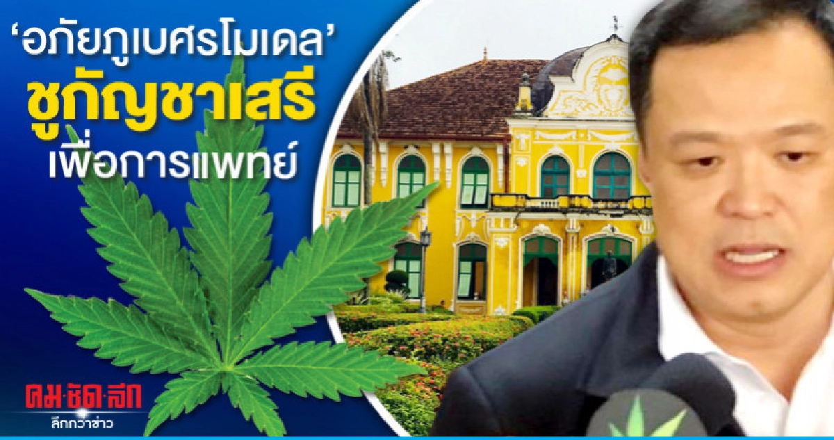 "อภัยภูเบศรโมเดล" ชูกัญชาเสรีเพื่อการแพทย์