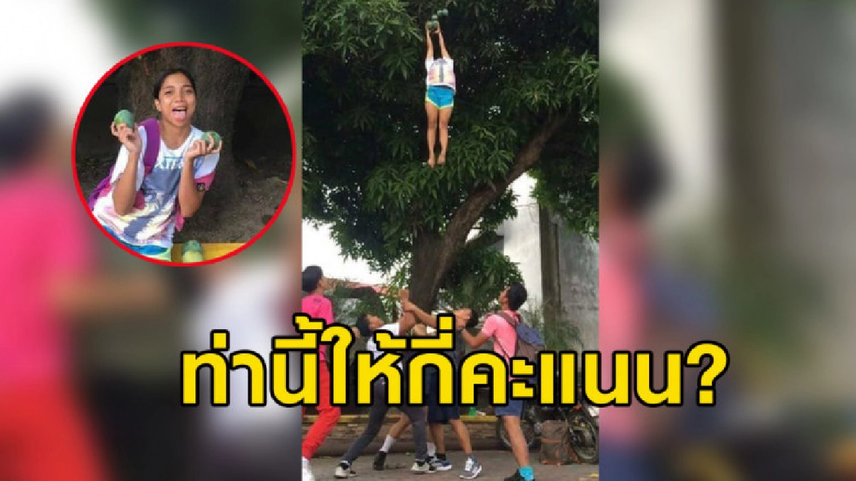 มิติใหม่ซ้อมเชียร์ลีดเดอร์ท่าโยนขึ้นฟ้าแถมได้มะม่วงมากินด้วย มิติใหม่ซ้อมเชียร์ลีดเดอร์ท่าโยนขึ้นฟ้าแถมได้มะม่วงมากินด้วย