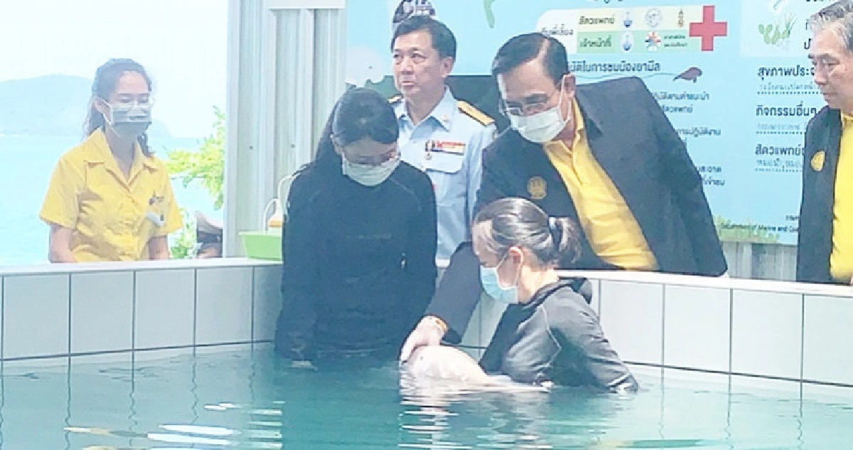 บิ๊กตู่แวะเยี่ยมให้นมลูกพะยูน"ยามีล"ขอให้เติบโตแข็งแรง บิ๊กตู่แวะเยี่ยมให้นมลูกพะยูน"ยามีล"ขอให้เติบโตแข็งแรง