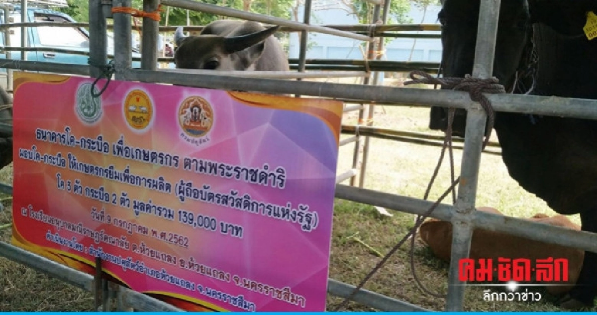 (คลิป) บริการตรวจสุขภาพสัตว์ฟรี 10,000 ตัว