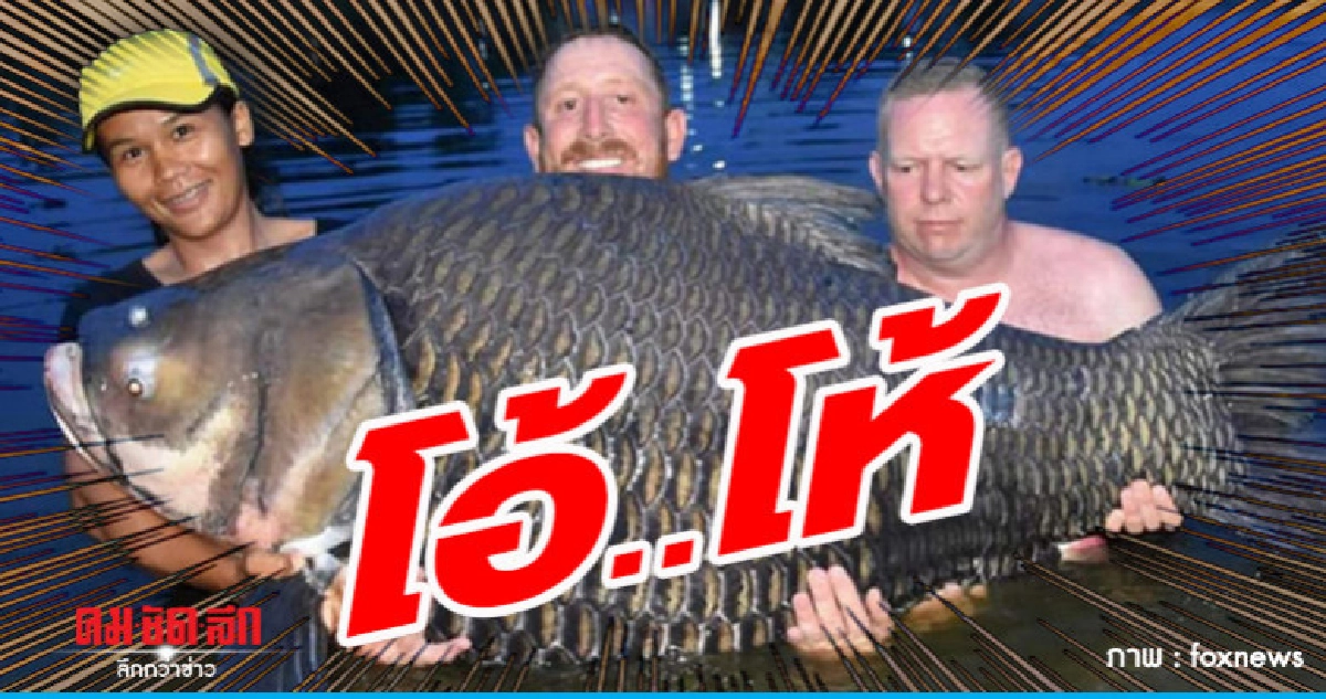 ฝรั่งตกกระโห้ยักษ์ได้ที่ราชบุรี ทำลายสถิติโลก ฝรั่งตกกระโห้ยักษ์ได้ที่ราชบุรี ทำลายสถิติโลก