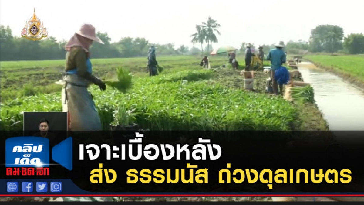 เจาะเบื้องหลัง บิ๊กตู่ ส่ง ธรรมนัส ถ่วงดุลเกษตร เจาะเบื้องหลัง บิ๊กตู่ ส่ง ธรรมนัส ถ่วงดุลเกษตร