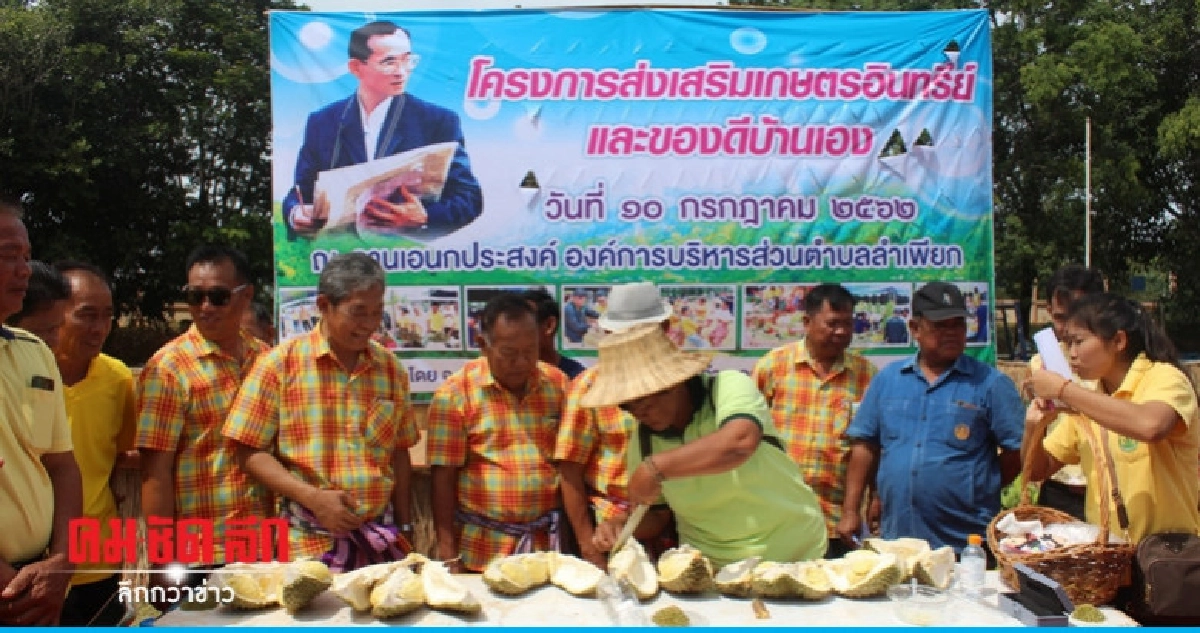 (คลิป) จัดงาน "วันของดีลำเพียก" หวังกระตุ้นตลาดผลไม้ (คลิป) จัดงาน "วันของดีลำเพียก" หวังกระตุ้นตลาดผลไม้