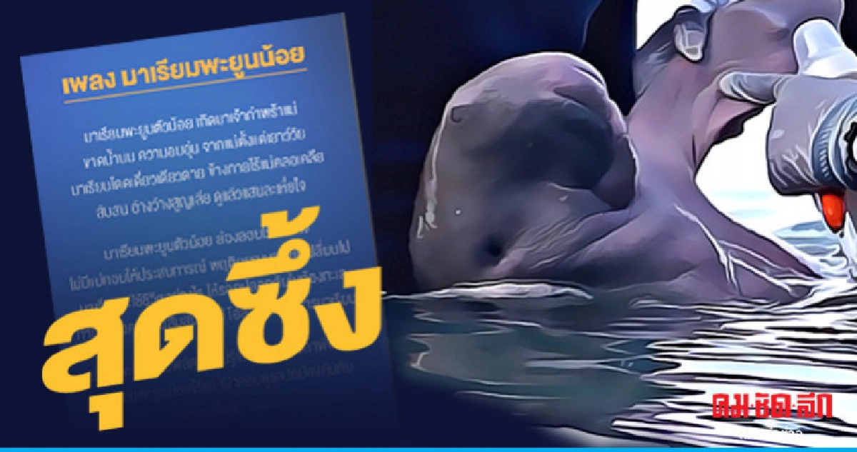 เปิดเพลงซึ้งจากเกาะลิบง (คลิป) เปิดเพลงซึ้งจากเกาะลิบง (คลิป)