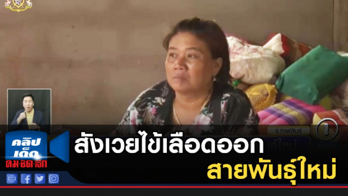 นักเรียนหญิง ม.6 สังเวยไข้เลือดออกสายพันธุ์ใหม่