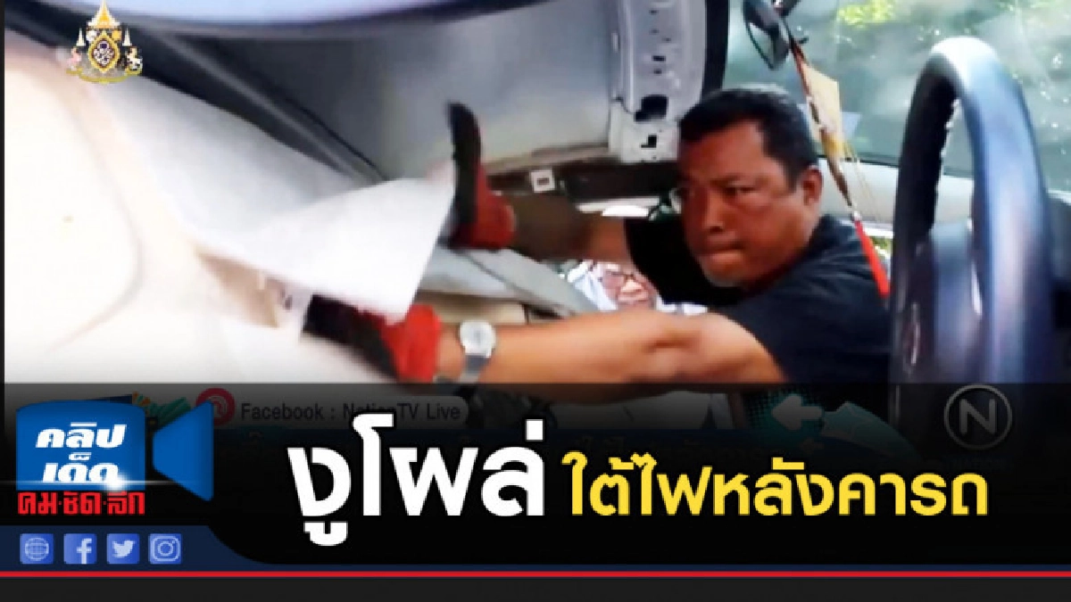 กรี๊ดสลบ สาวตกใจ งูเลื้อยโผล่ใต้ไฟหลังคารถ กรี๊ดสลบ สาวตกใจ งูเลื้อยโผล่ใต้ไฟหลังคารถ