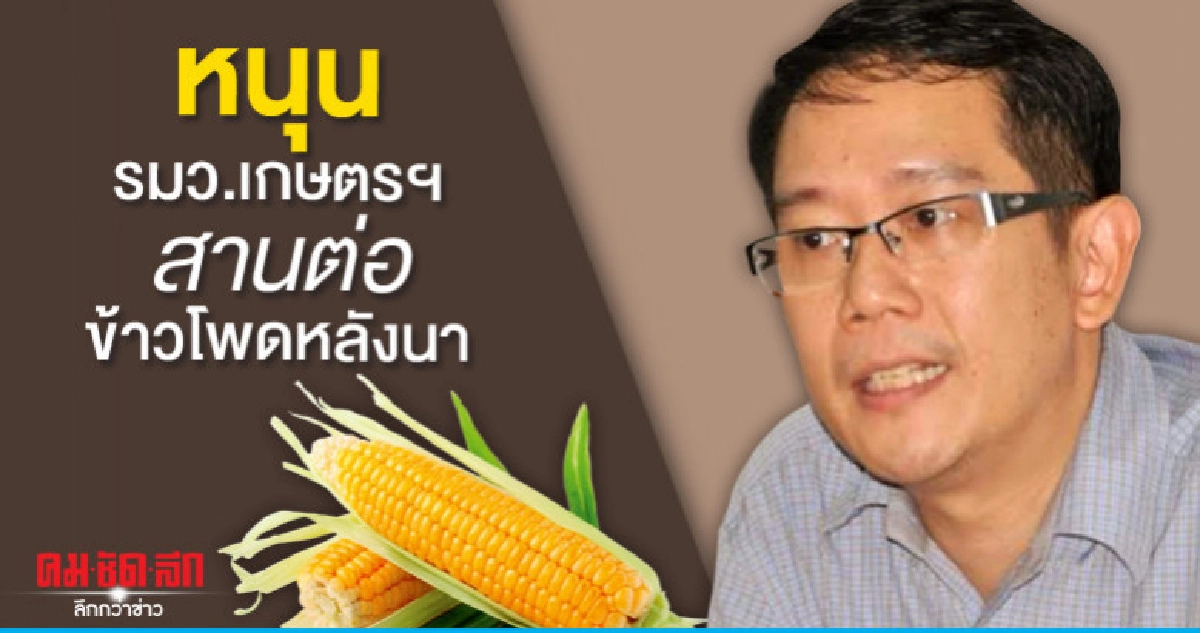 นักวิชาการหนุนรมว.เกษตรฯสานต่อข้าวโพดหลังนา นักวิชาการหนุนรมว.เกษตรฯสานต่อข้าวโพดหลังนา