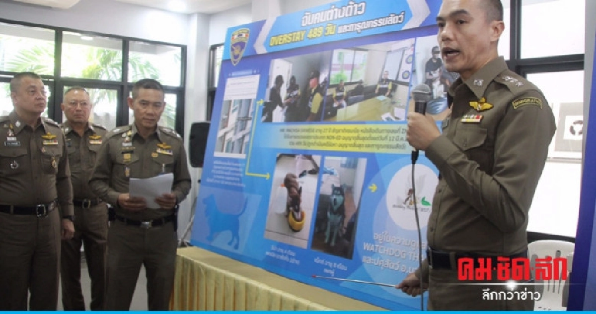 จับแซมเบีย Overstay ทารุณฯ ไซบีเรียนฮัสกี จับแซมเบีย Overstay ทารุณฯ ไซบีเรียนฮัสกี