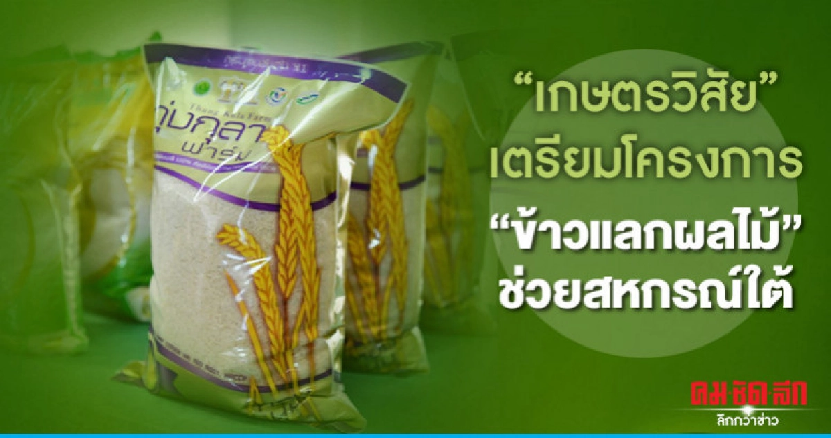 "เกษตรวิสัย"เตรียมโครงการ"ข้าวแลกผลไม้"ช่วยสหกรณ์ใต้ "เกษตรวิสัย"เตรียมโครงการ"ข้าวแลกผลไม้"ช่วยสหกรณ์ใต้