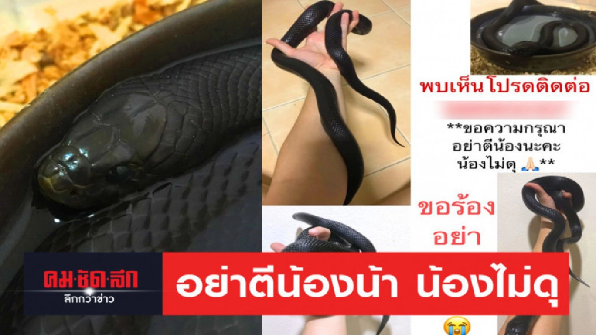 สาวโพสต์ประกาศตามหาน้องงู หายออกจากบ้าน สาวโพสต์ประกาศตามหาน้องงู หายออกจากบ้าน