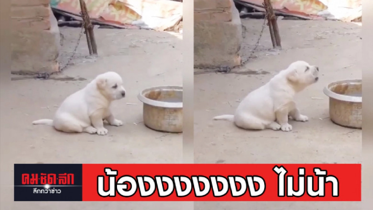น้อง กำลังหัดขัน น้อง กำลังหัดขัน