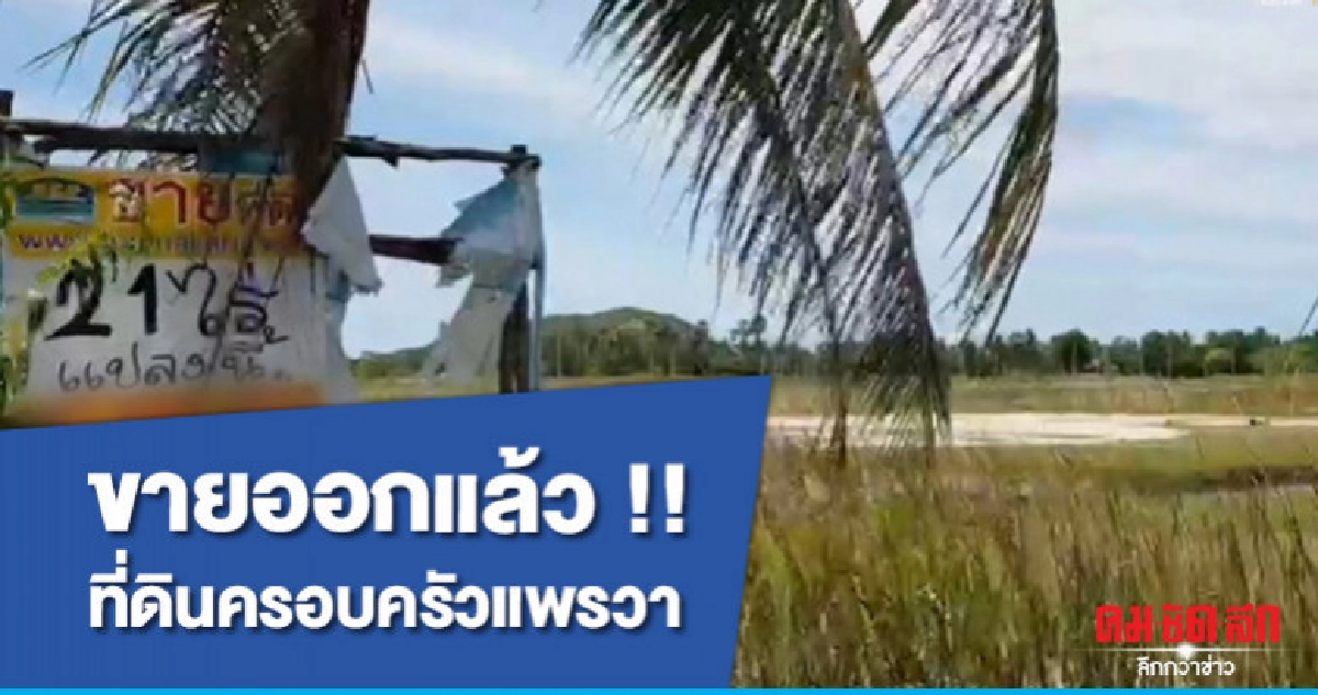 มีผู้ติดต่อขอซื้อที่ดินครอบครัวแพรวาแล้ว มีผู้ติดต่อขอซื้อที่ดินครอบครัวแพรวาแล้ว
