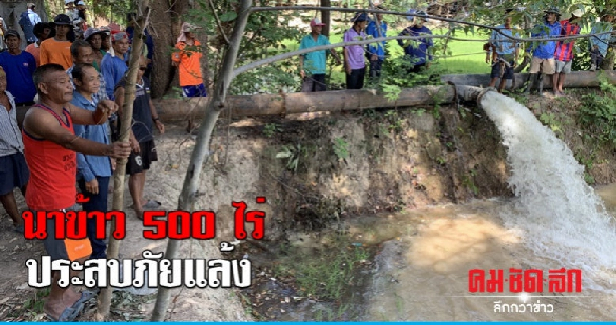 ประสบภัยแล้ง ชาวบ้านลงขันซื้อน้ำมันสูบน้ำเข้านา