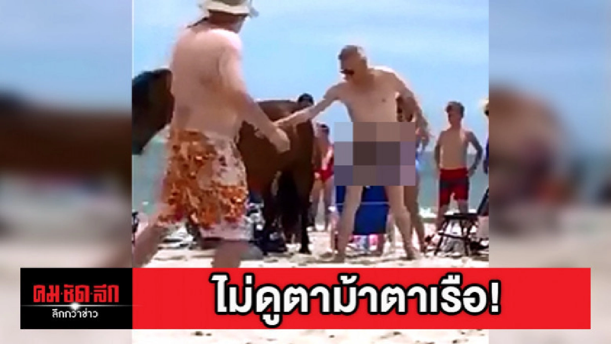 หนุ่มอยากเล่นกับม้าต้องถึงกับจุก