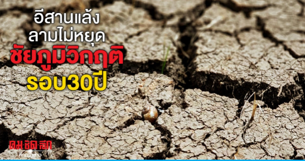 อีสานแล้งลามไม่หยุดชัยภูมิวิกฤติรอบ30ปี อีสานแล้งลามไม่หยุดชัยภูมิวิกฤติรอบ30ปี
