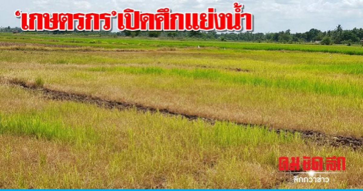 เกษตรกรเปิดศึกแย่งน้ำ เกษตรกรเปิดศึกแย่งน้ำ