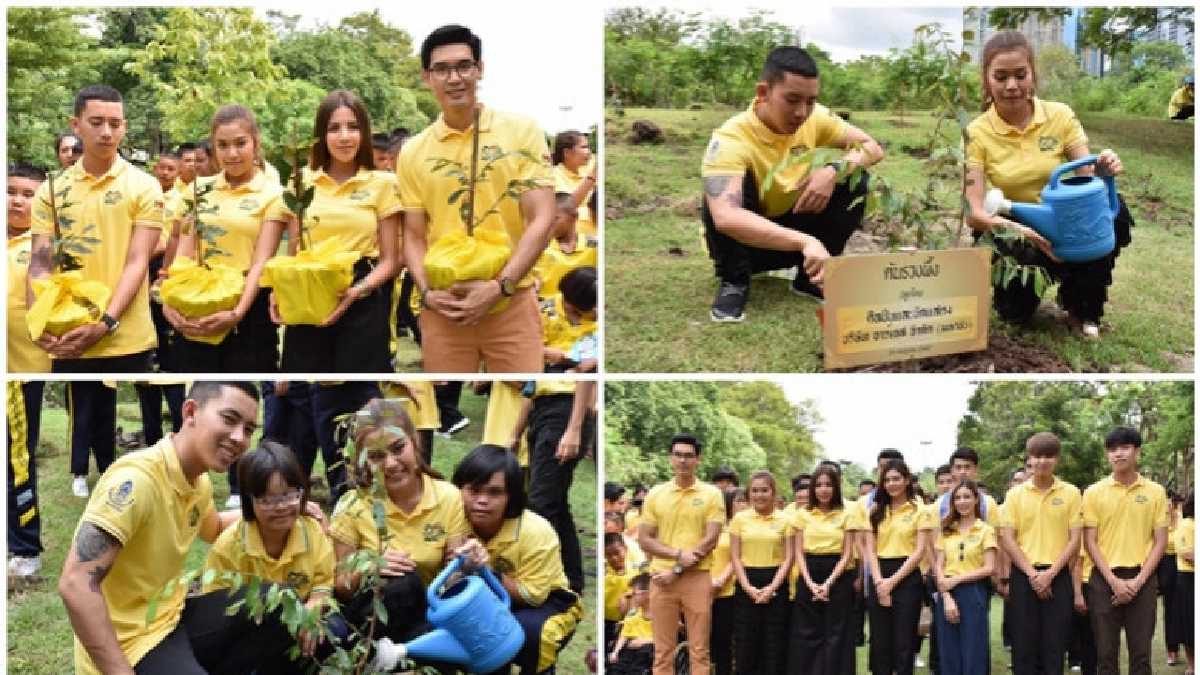ศิลปิน ปลูกต้นรวงผึ้ง เฉลิมพระเกียรติ ล้นเกล้ารัชกาลที่ 10 ศิลปิน ปลูกต้นรวงผึ้ง เฉลิมพระเกียรติ ล้นเกล้ารัชกาลที่ 10