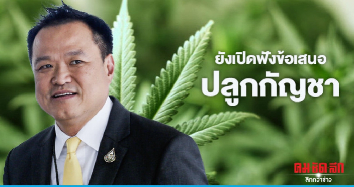 (คลิป)ยังเปิดฟังต่างชาติเสนอเทคนิคปลูกกัญชา (คลิป)ยังเปิดฟังต่างชาติเสนอเทคนิคปลูกกัญชา