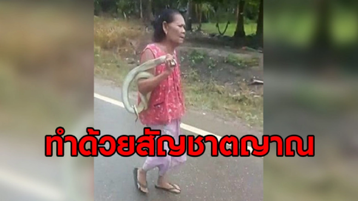 คุณยายจับงูด้วยมือเปล่าเดินกลางถนนเล่าเหมือนหมองูเข้าสิงร่าง คุณยายจับงูด้วยมือเปล่าเดินกลางถนนเล่าเหมือนหมองูเข้าสิงร่าง