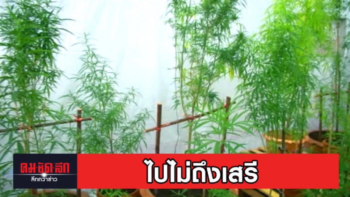 ตีกรอบไปไม่ถึงเสรี