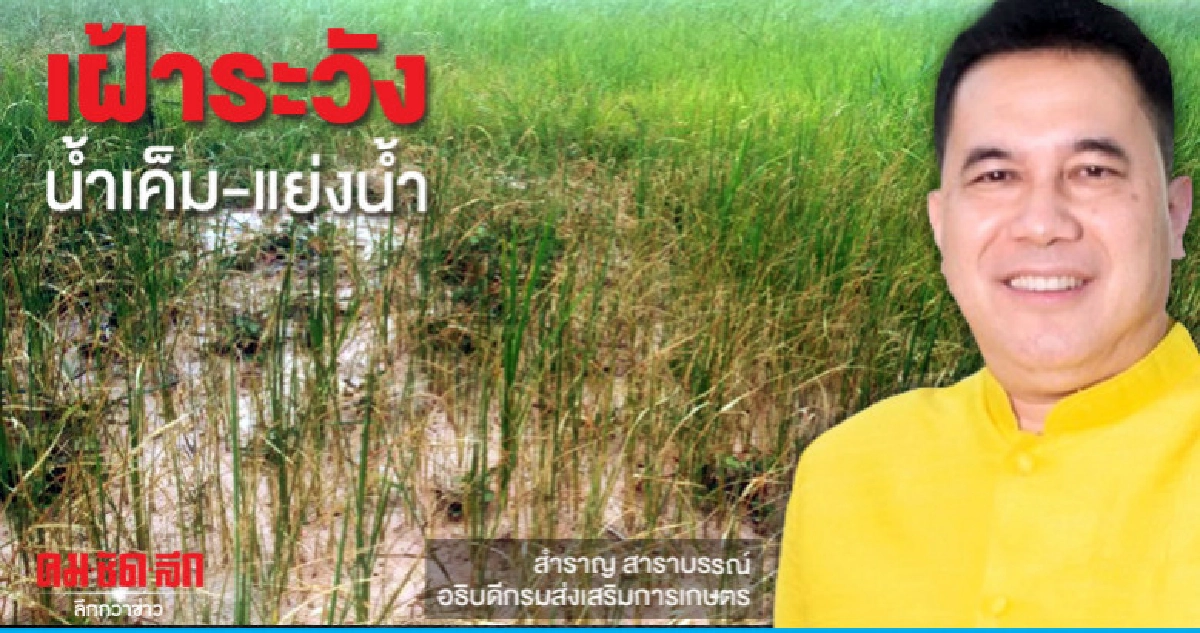 "ภัยแล้ง"วิกฤติเกษตรหวั่นน้ำเค็ม-แย่งน้ำ