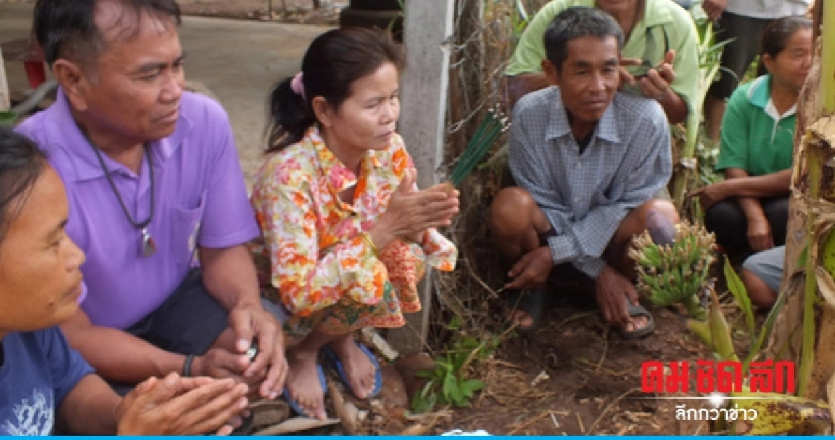 (คลิป) แห่ขอโชคลาภต้นกล้วยประหลาด (คลิป) แห่ขอโชคลาภต้นกล้วยประหลาด