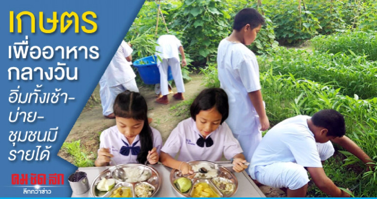 เกษตรเพื่ออาหารกลางวันอิ่มทั้งเช้า-บ่าย-ชุมชนมีรายได้