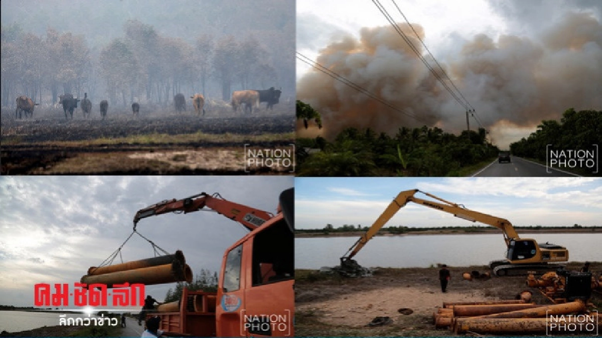 ไฟไหม้ป่าพรุควนเคร็งยังวิกฤติ เร่งเติมน้ำเข้าป่าพรุ (ภาพชุด) ไฟไหม้ป่าพรุควนเคร็งยังวิกฤติ เร่งเติมน้ำเข้าป่าพรุ (ภาพชุด)