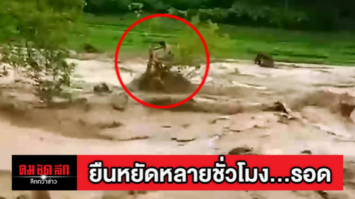 พิษพายุวิภา ช่วยระทึกชายติดกิ่งไม้ท่ามกลางน้ำเชี่ยว
