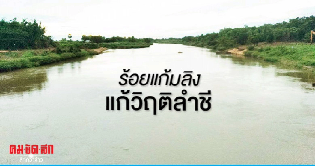 "กรมชลฯ"ผุดนับร้อยแก้มลิงแก้วิกฤติลำน้ำชี "กรมชลฯ"ผุดนับร้อยแก้มลิงแก้วิกฤติลำน้ำชี
